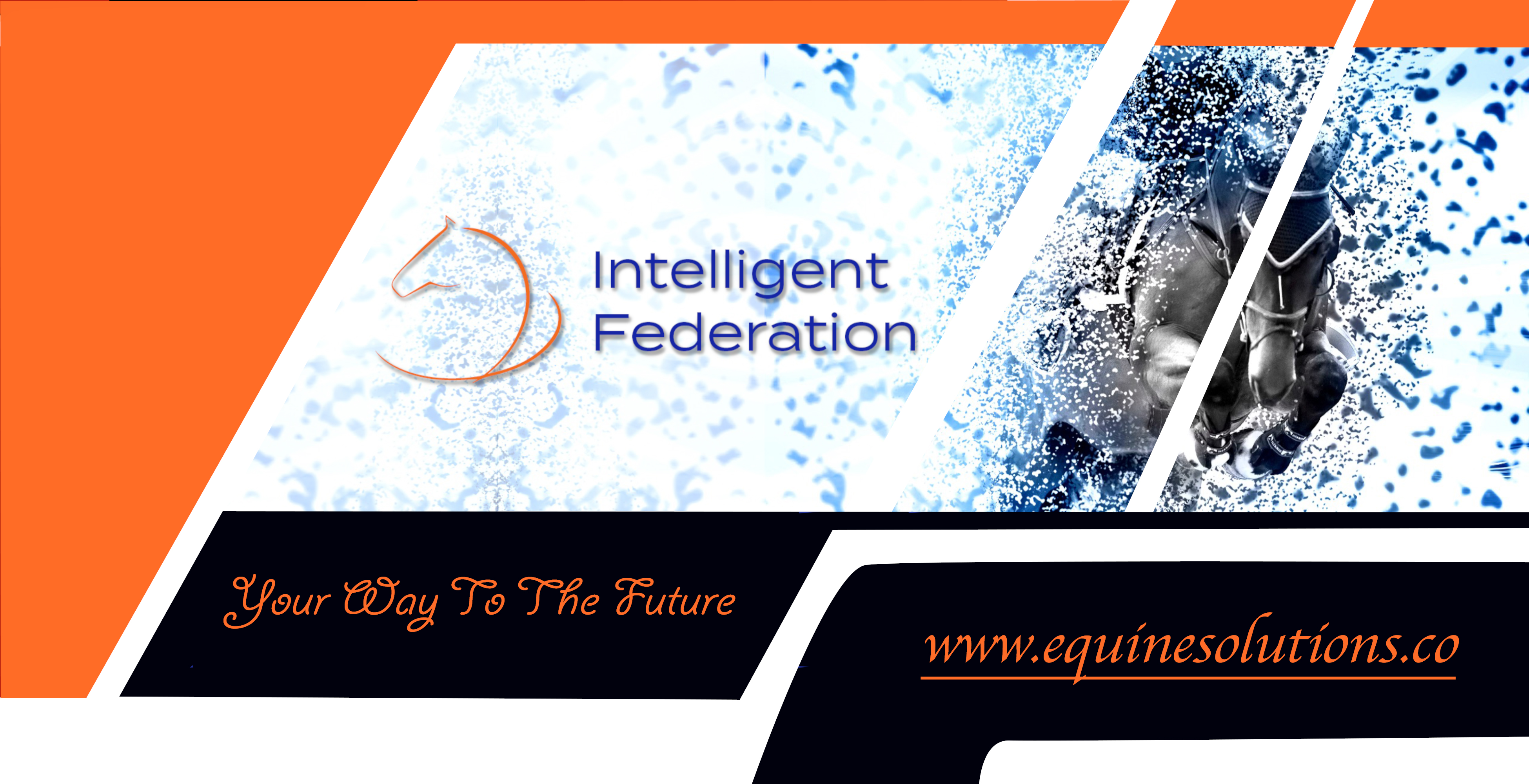 Home Equine Solutions